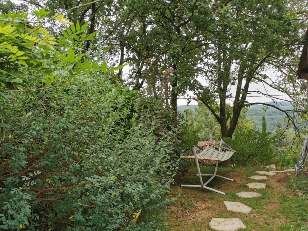 Chambre Chez L'Habitant A La Campagne Sidobre Burlats Kültér fotó